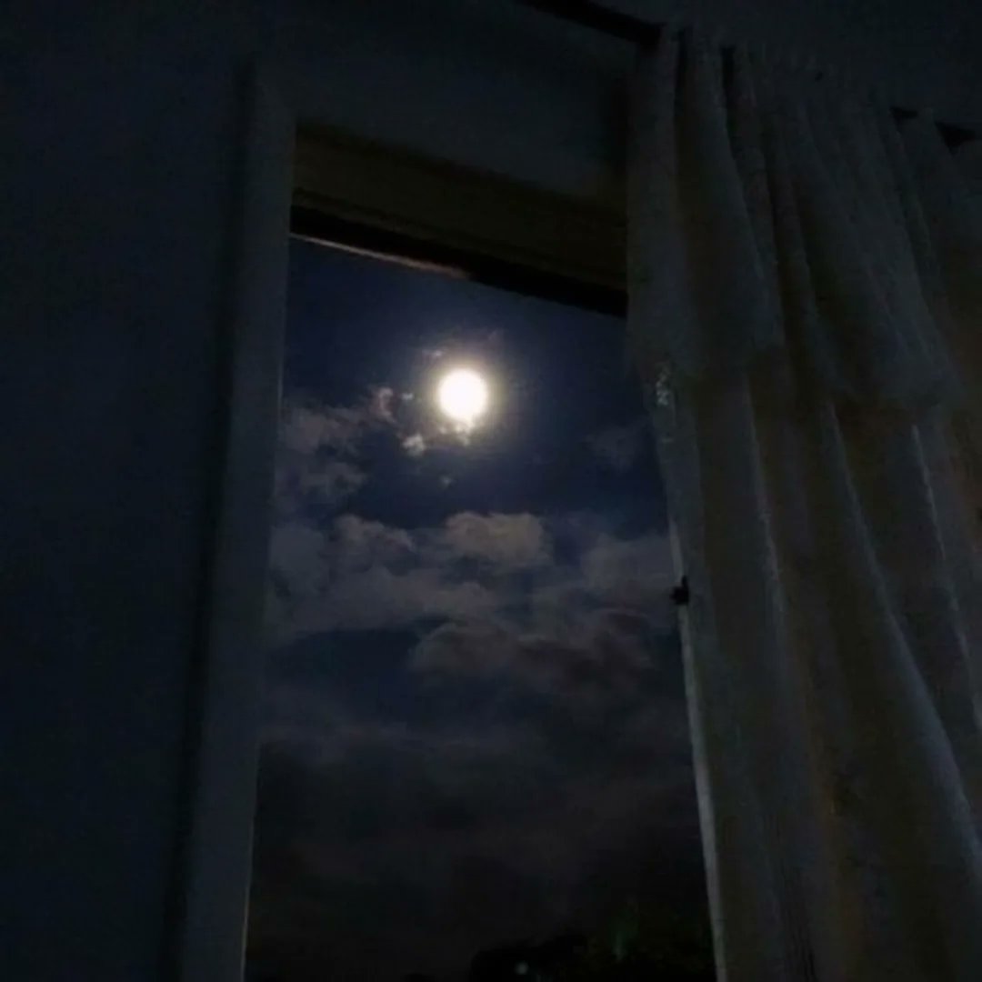 AdolfinaNava's tweet photo. 🥰 "Qué bonito trabajo el de la luna, iluminar vidas, cuando andan a oscuras."✨
Hola 🌕 #LunaLlena
Adiós #DiasTristes https://t.co/1r9cNzqNRC