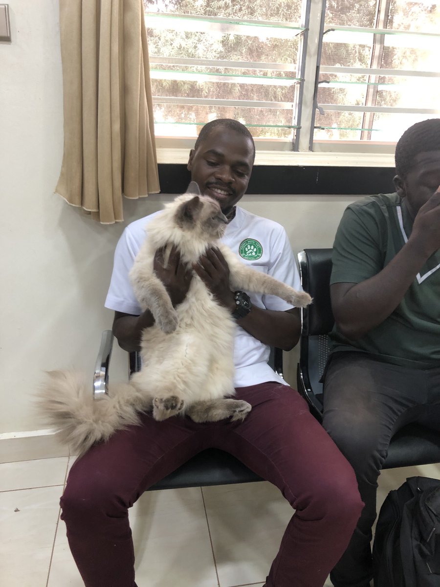 Happy pets