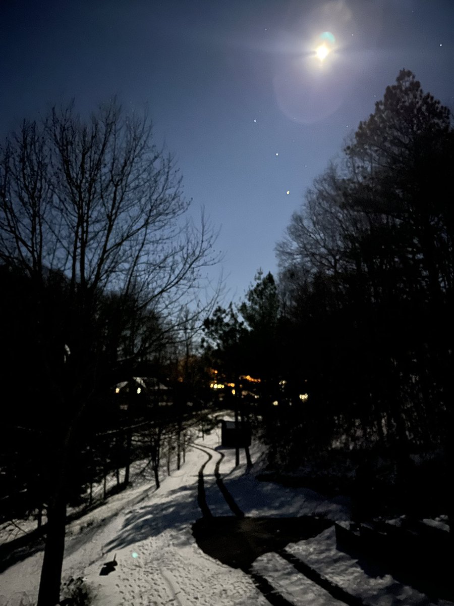 gregpenner1's tweet photo. Tonight’s nearly full moon. The brightest “star” just above the trees is Mars. Tomorrow night the moon will occult (cover/pass in front of) Mars. https://t.co/KHAzxXx0qA