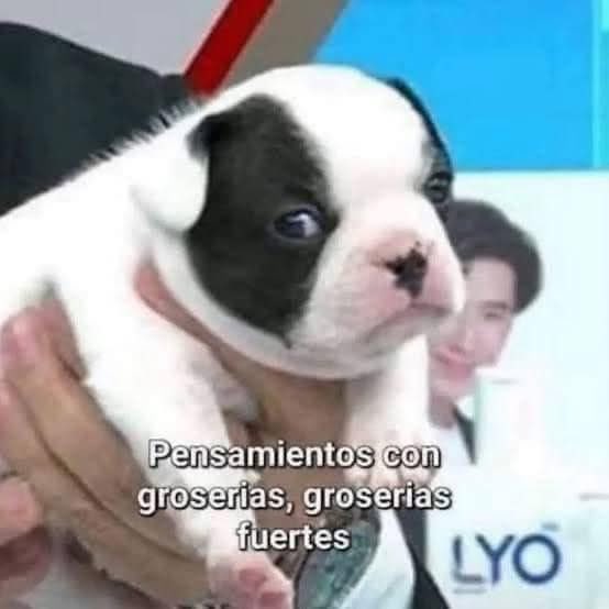 _FernandaCruz's tweet photo. Desconectada https://t.co/rlzcq79kVb