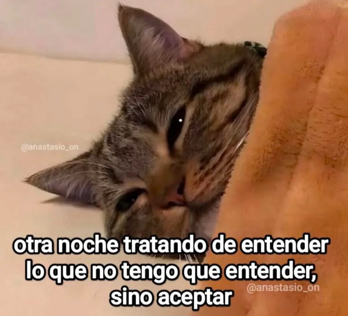 Guarromantico_'s tweet photo. Otra noche 🥺 https://t.co/0RapMPsvto