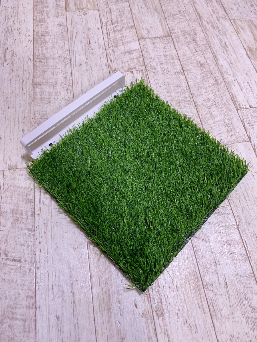 ebiyome22's tweet photo. ebisufishery 

漁業界隈が地味にザワついた

＼ありそうでなかった商品／

魚にも顔面にも優しい【優しくん】
尾びれの跳ね防止アイテム✨️

今だけ40%off
限定5点です✨️

ご購入はコチラから
👇
https://t.co/3kMHlVJmoF #BASEec @ebisufishery https://t.co/pVjhfjY9JK