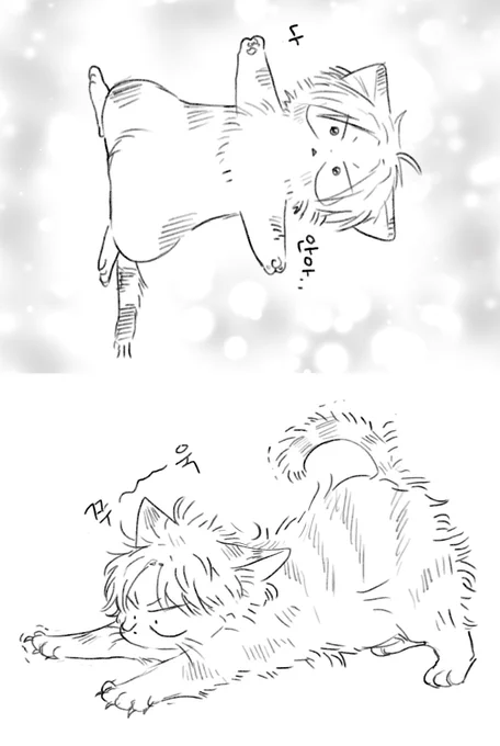 ibon 입니다! 4x6 단면컬러입니다 ibonです! 4x6断面カラーです😊 💦 