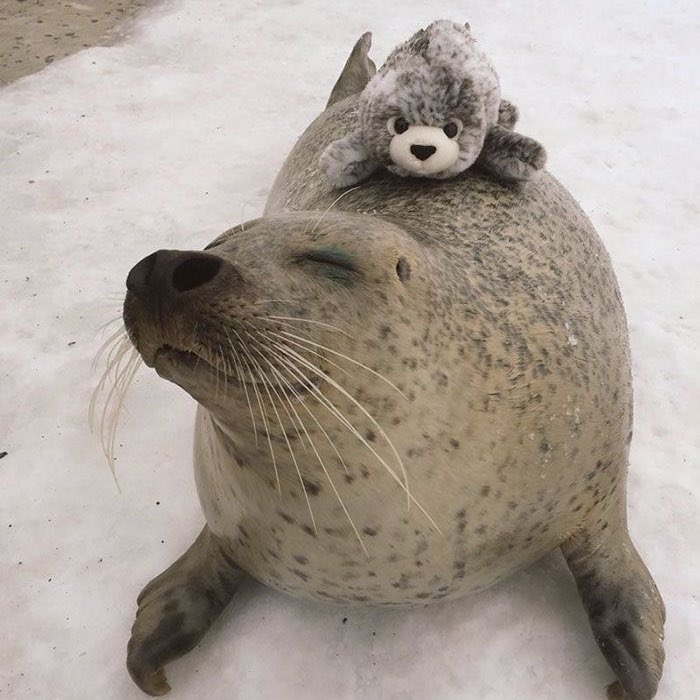 moaquarium's tweet photo. twins (*^ω^*)🧸 #beomgyu https://t.co/qOL93LAj3V
