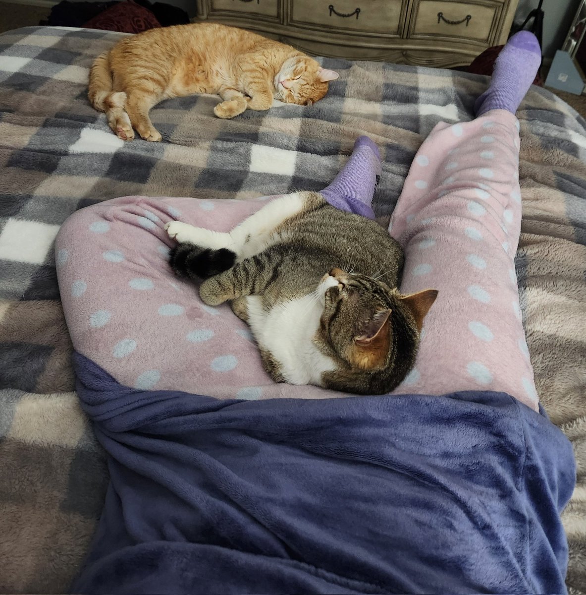 BeautyMotivate's tweet photo. Night folks. Another early morning of clinicals awaits me tomorrow. π
#Goodnight #kisses #CatsLover #bedtime #surgtech https://t.co/03YA9zg6tU