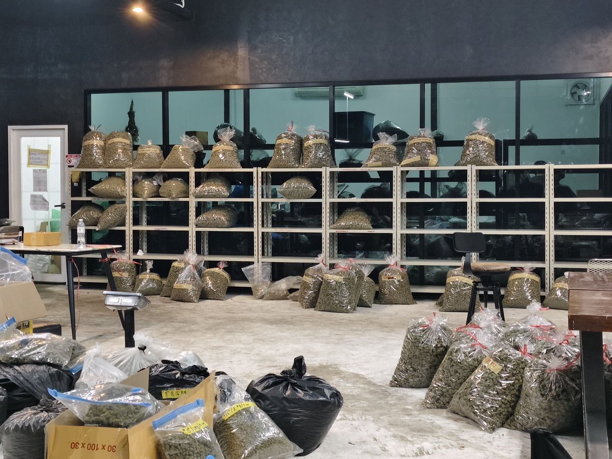 42xWeeD's tweet photo. ดอกไม้ราคาส่ง Indoor/Outdoor/Greenhouse/Evap 

 : Grab/Line man/bolt
(กทม / รังสิต )
 : Flash/Kerry /J&amp;T
(ทั่วประเทศ + ค่าส่ง30฿)

สนใจรายละเอียดเพิ่มเติมแอดไลน์ 👇🏻
https://t.co/3bPNATsLn3

#กัญชา #กัญชาราคาถูก #กัญชาog #กัญชาอัดแท่ง #กัญชาโอจี #กัญชารังสิต #กัญชากรุงเทพ https://t.co/NEFoVS7czl