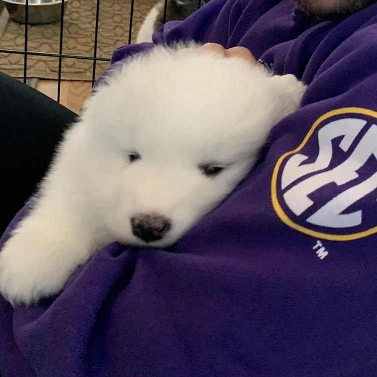 도토리 (@leejenodream) on Twitter photo 