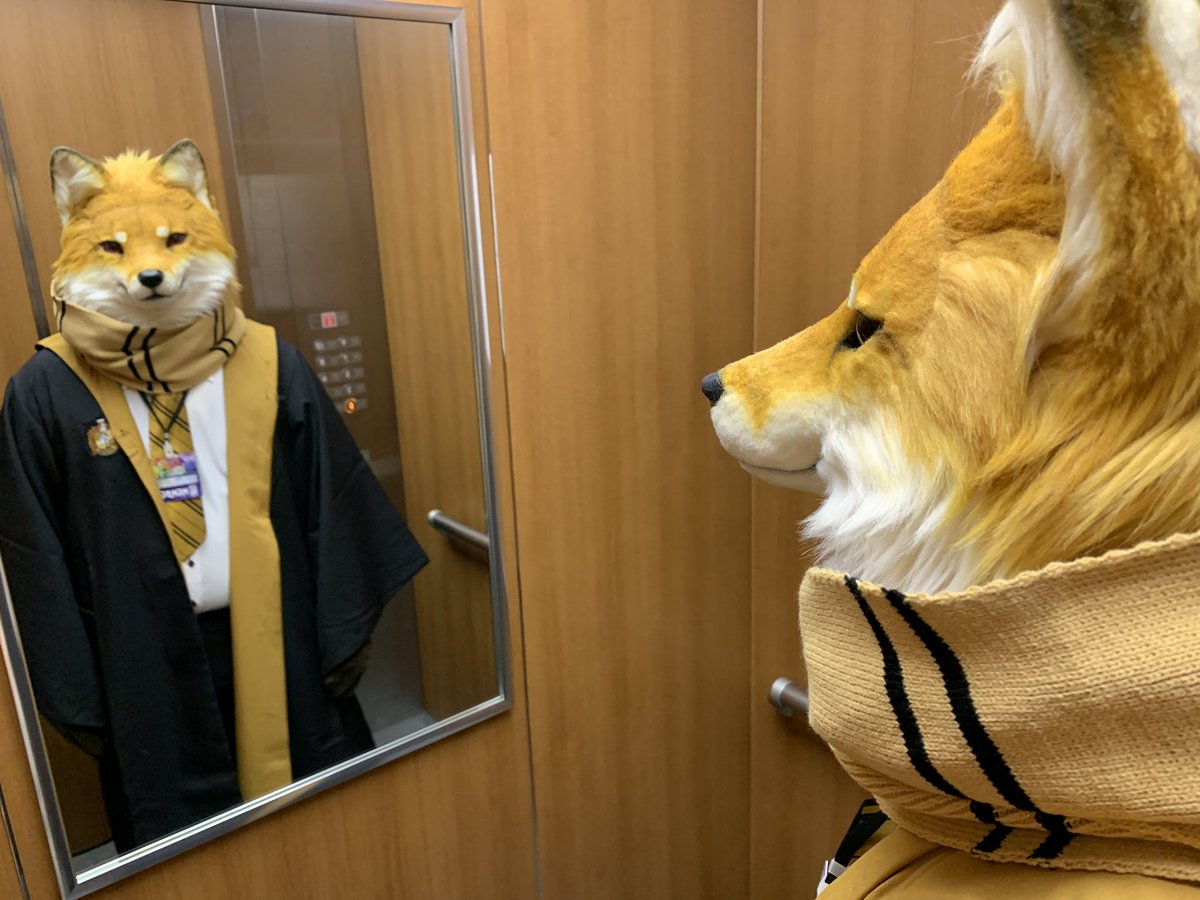 mohko_kai's tweet image. 改めて、JMoFお疲れ様でした🙇♂️
撮った写真等は、人や物の映り込みに気を付けて、ぜひ自由に呟いてください!🥴
あっという間の3日間でしたが、色々な方に会えて大変嬉しかったです、ありがとうございました😆
そしてこれは新衣装で鏡越しに見つめてくるウーノ🦊✨
#JMoF2025
#もふもふ猛虎会