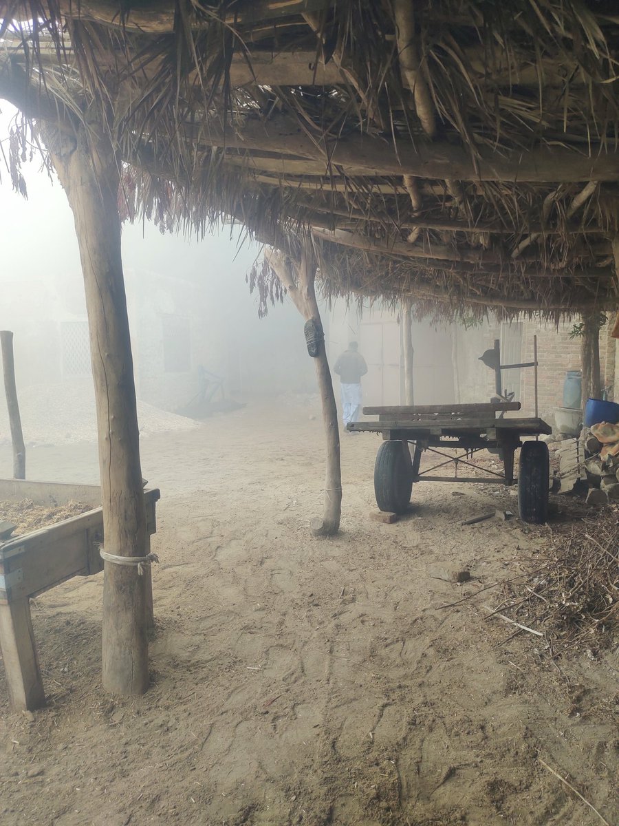 DrHamadWassan's tweet image. پڙھيو پڙھيجاه ، سبق  انهيء  سور  جو
ميم   رکج  من  ۾  ،  الف   تنهن   اڳياه ،
چتان  چوريجاه ، اها  لات  لطيف   چئي.
شاھ سائين 
سر يمن ڪلياڻ
#GoodMorning #VillageVibes #WINTER #holidays #winter_morning