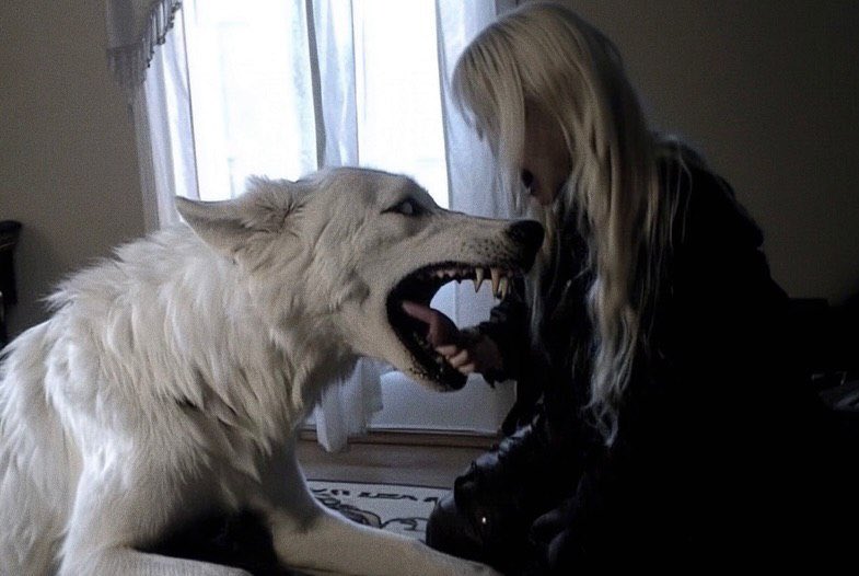 moth grinder (@senpakueyes) on Twitter photo 