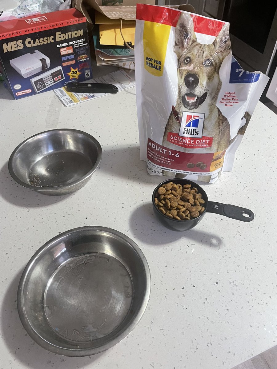 vierramichael_'s tweet photo. #daydate in #terrierkingdom extends into cozy dinner for 2 only hours out the #vet https://t.co/z1wVMJrQ3x