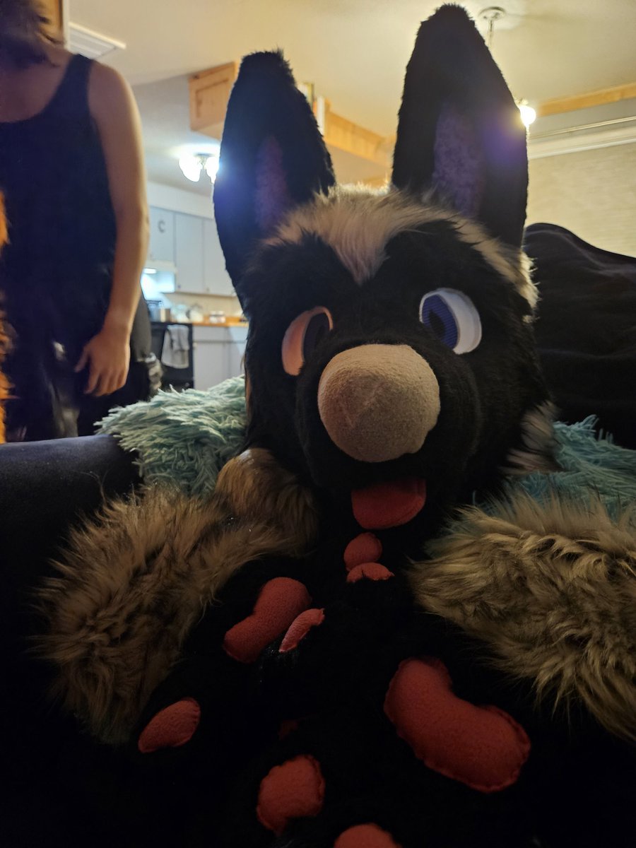 Paws and head are done. Next up the tail 😊