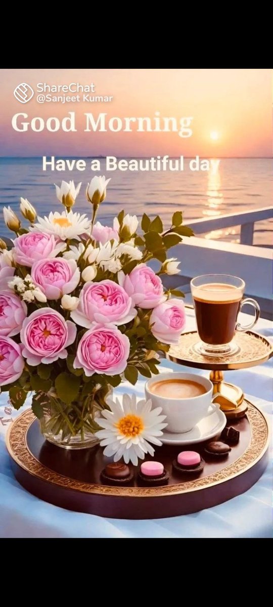 Good morning all frinds have a nice day 😊.