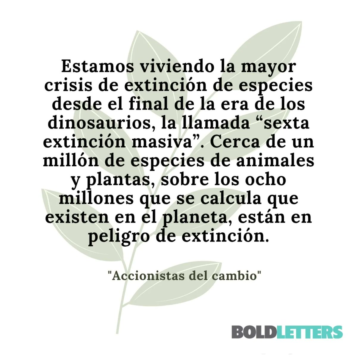 Boldletters tweet media