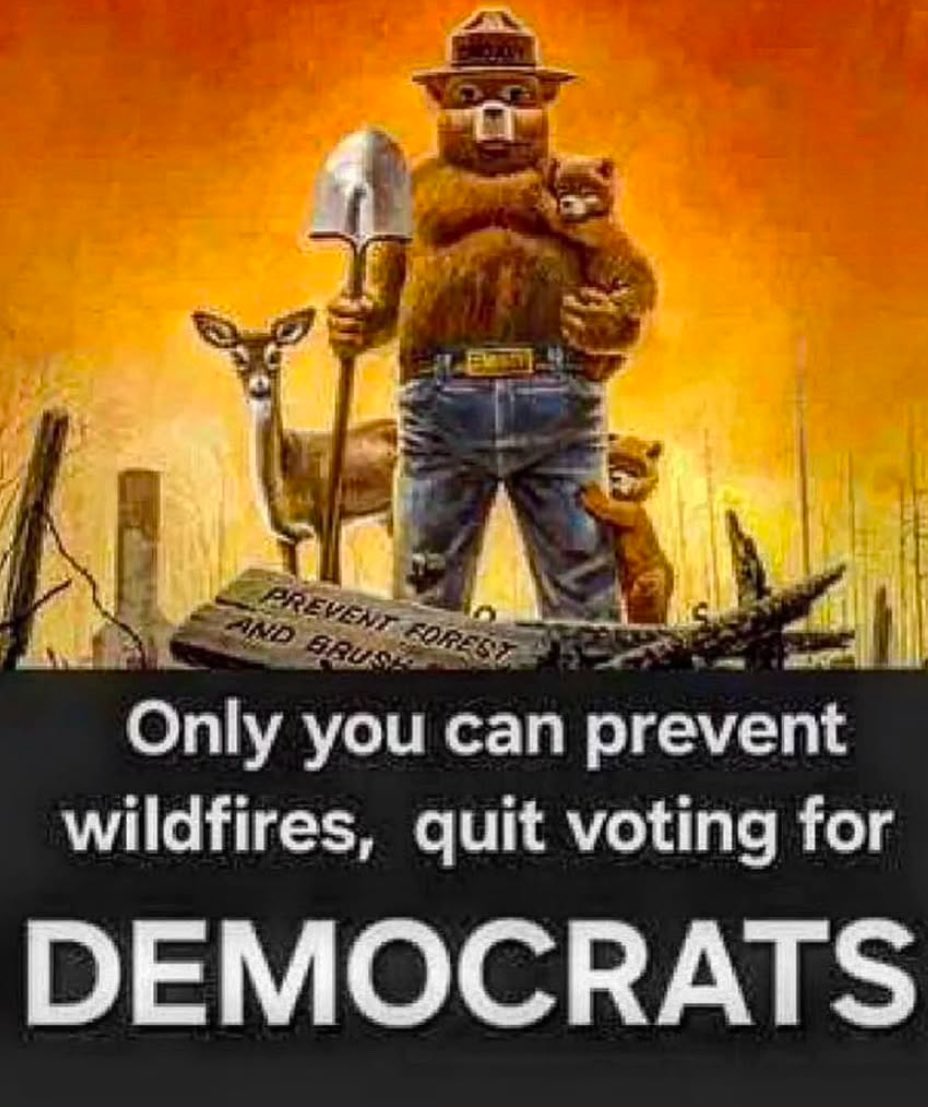 SallyMayweather's tweet photo. https://t.co/EHUuwkvEbZ