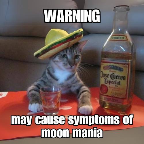 🇲🇽NECHO | OG Hispanic Cat tweet media
