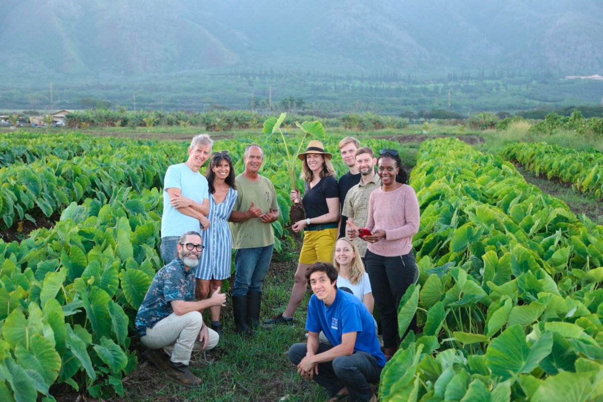 "NASA does a ton of space for ag tours, and the NASA leadership comes. They're trying to make sure that the farmers know that, "We're your  space agency," which really is true." - @AKWhitcraft, Director of <a href="/AcresProgram/">NASA Acres</a>.
Listen here 👉hbs.edu/environment/po…