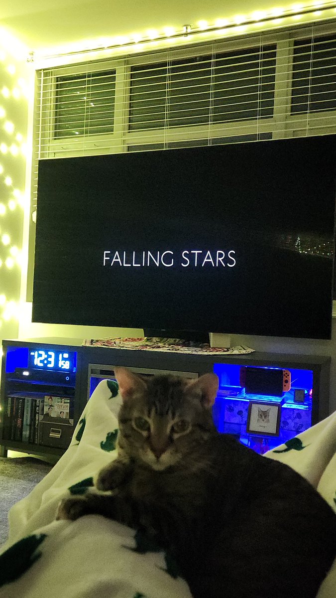 horror_szn's tweet photo. This weekend's watches. #MothersofMonsters #FallingStars #Dagr #Beezel @watchfoundtv @PrimeVideo @Tubi @DreadCentral https://t.co/ulY8ohbczV