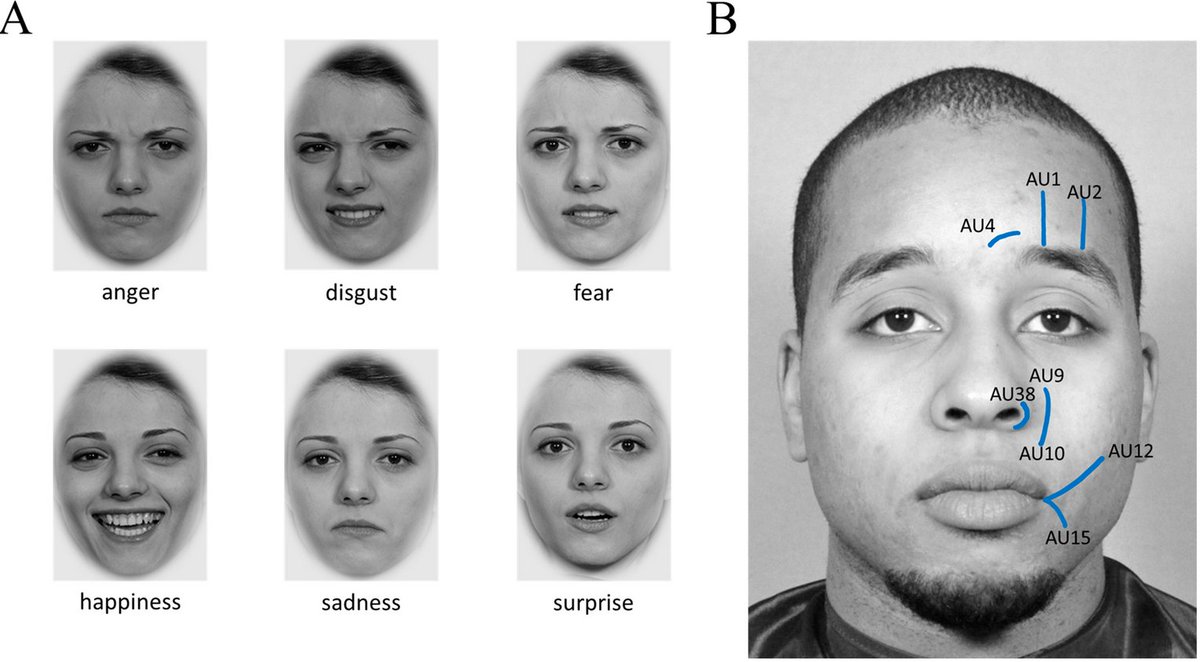 JIntell_MDPI's tweet photo. Notable Paper in the Field of #IndividualDifference

📰“Show Me What You Got”: The Nomological Network of the Ability to Pose Facial Emotion Expressions

Read this paper by Mattis Geiger @unierfurt, Sally Gayle Olderbak, and Oliver Wilhelm @uni_ulm here: https://t.co/WwCUpwoJWe https://t.co/yRgYp4EJYw
