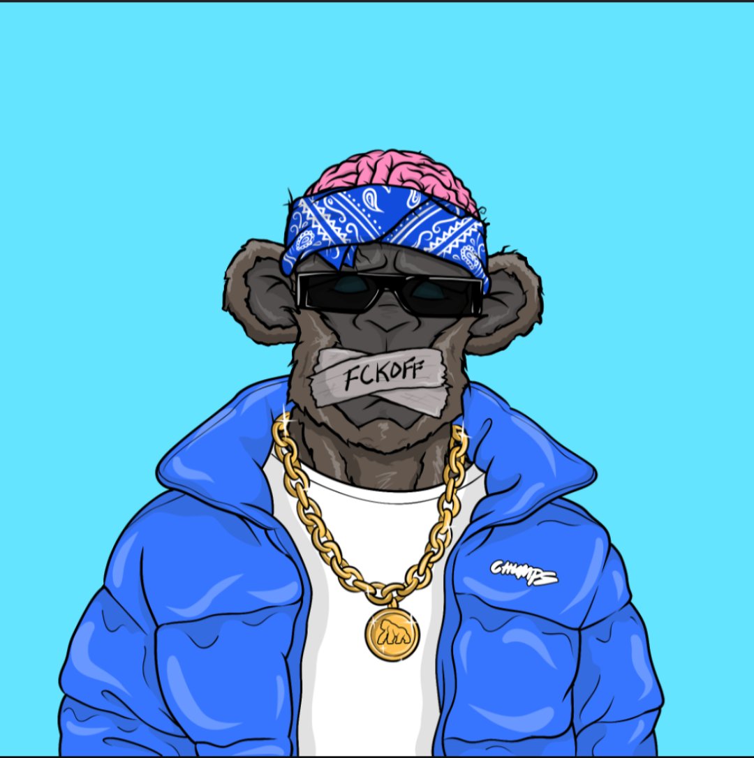 Havoc_the_Ape's tweet photo. Let's get this party crackin @chumpzonape  drop with big impact and Havoc touch down  intact, its been fact we gonna lift off with falcon 9 heavy rockets. Can't stop it. You go hard but we Go-Rilla @apecoin on chain  around on my neck and where we building. We killing shit.... https://t.co/i9M3ytyUD6