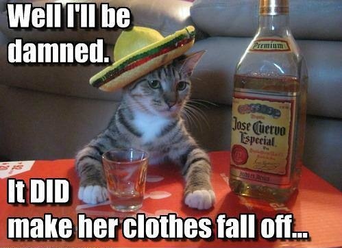 🇲🇽NECHO | OG Hispanic Cat tweet media