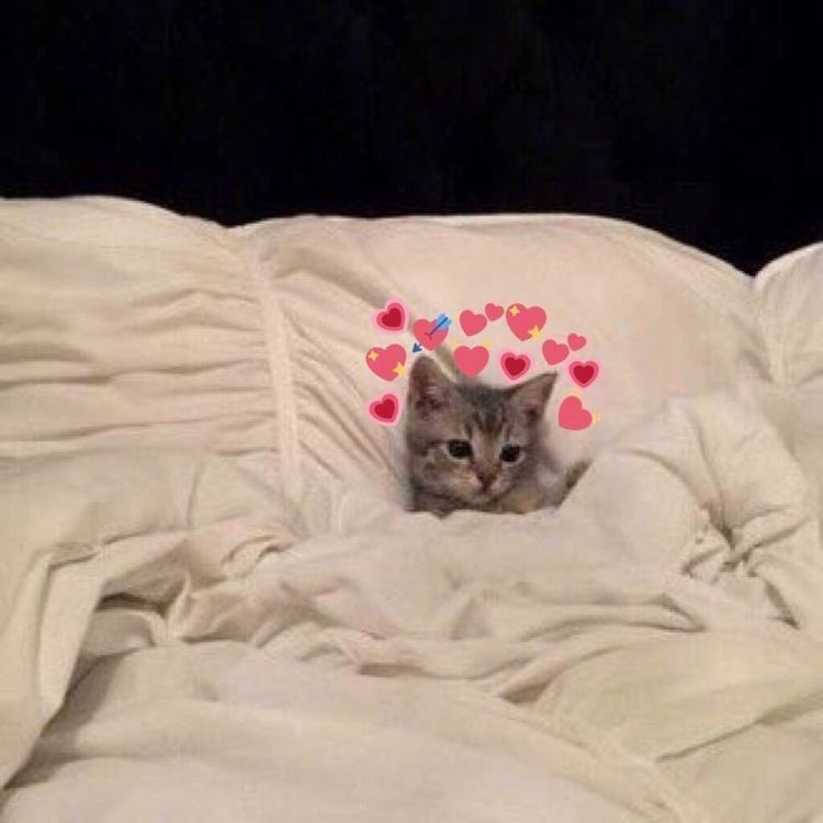 Me plopping my happy ass down in my bfs bed after a long day of making friends with his family