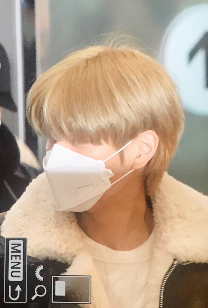 one day golden retriever seungmin will come back to us