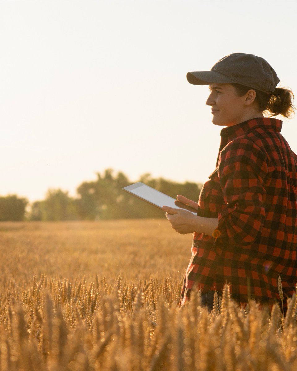 There’s a lot to love about living in rural and regional Australia but sometimes living outside the cities can be hard. Over the last decade, the Regional Wellbeing Survey has highlighted the challenges rural Australians face. Take part in the 2024 Survey uoc.syd1.qualtrics.com/jfe/form/SV_bP…