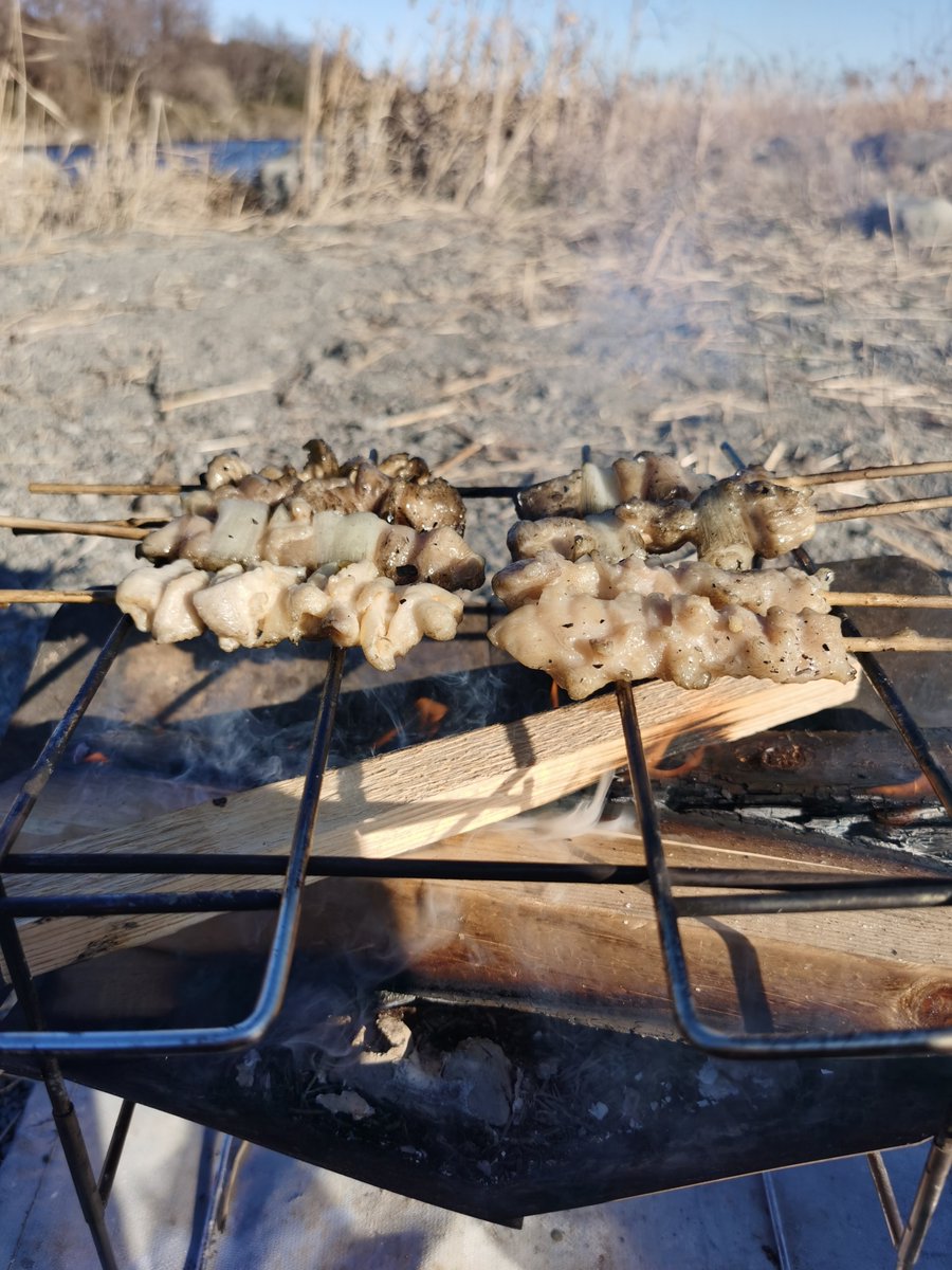 porero0178's tweet photo. 今年初のキャンプ〜⛺️🔥
そしてキャンプ飯は焼き鳥です😋🍗 https://t.co/EYLwsrufnH