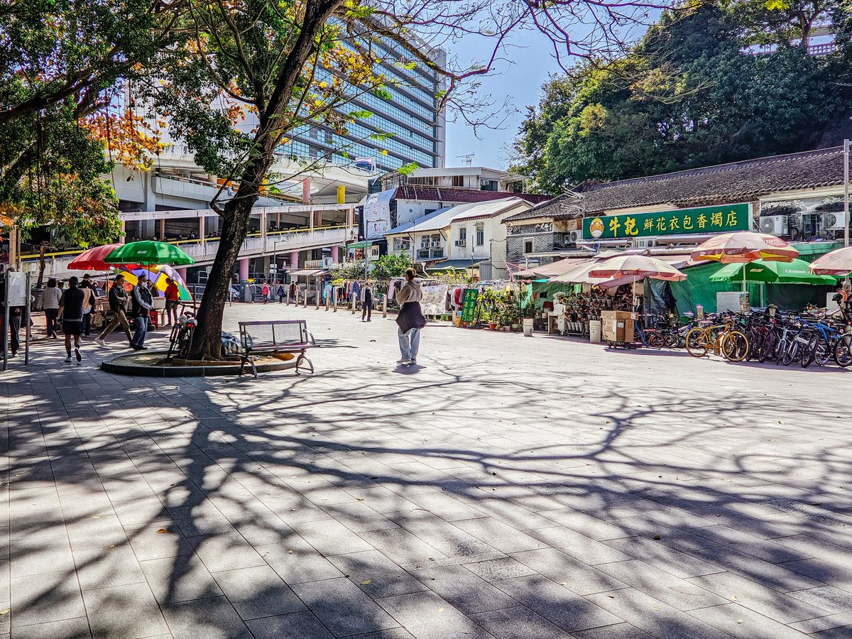 aby_lam's tweet photo. Snapshot 

#沙田 #冬日 #shatin #streetphotography  #lightroommobile #googlecamera #theclassicpresets #asuszenfone8 #我真係好撚鍾意香港 https://t.co/5czcRX9mwT