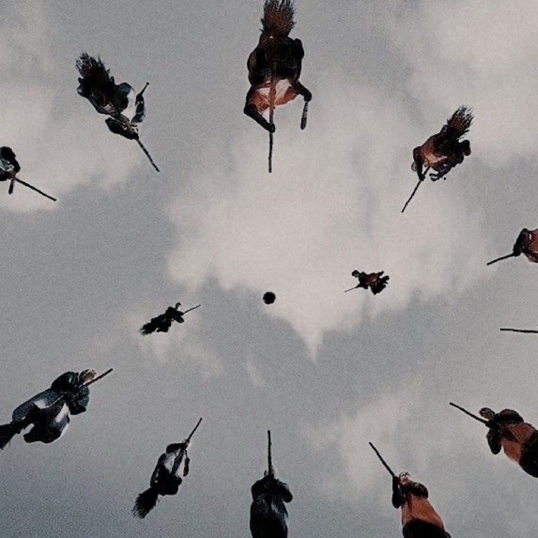 TheDailyHPotter's tweet image. Quidditch aesthetic 😍