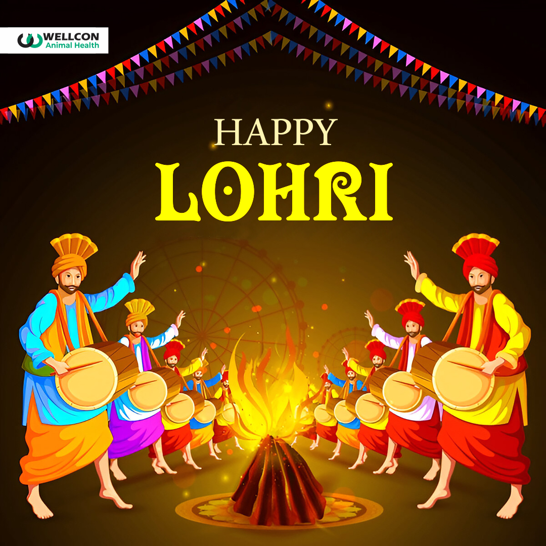 WellconAH's tweet photo. ✨🔥 Happy Lohri! 🔥✨
May this festival fill your life with warmth, joy, and prosperity. 🌽🥜
Dance, celebrate, and enjoy the sweetness of jaggery and rewari! 🎶💃 https://t.co/Uy4eExRiZ7