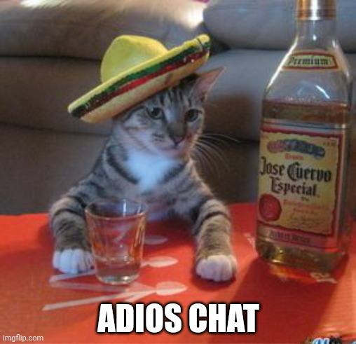 🇲🇽NECHO | OG Hispanic Cat tweet media