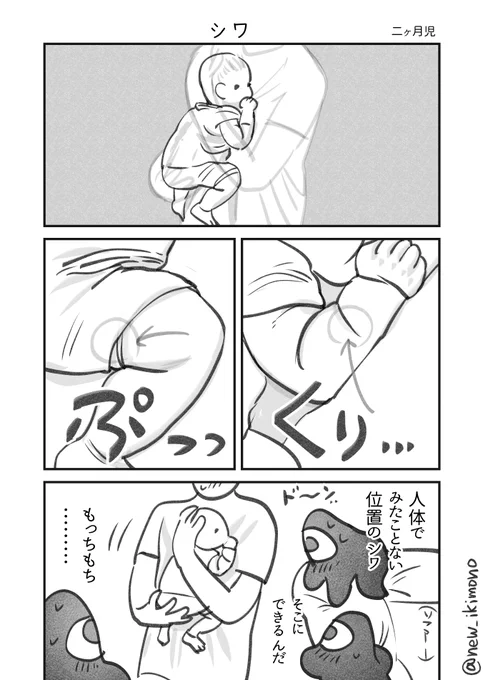 シワ 
