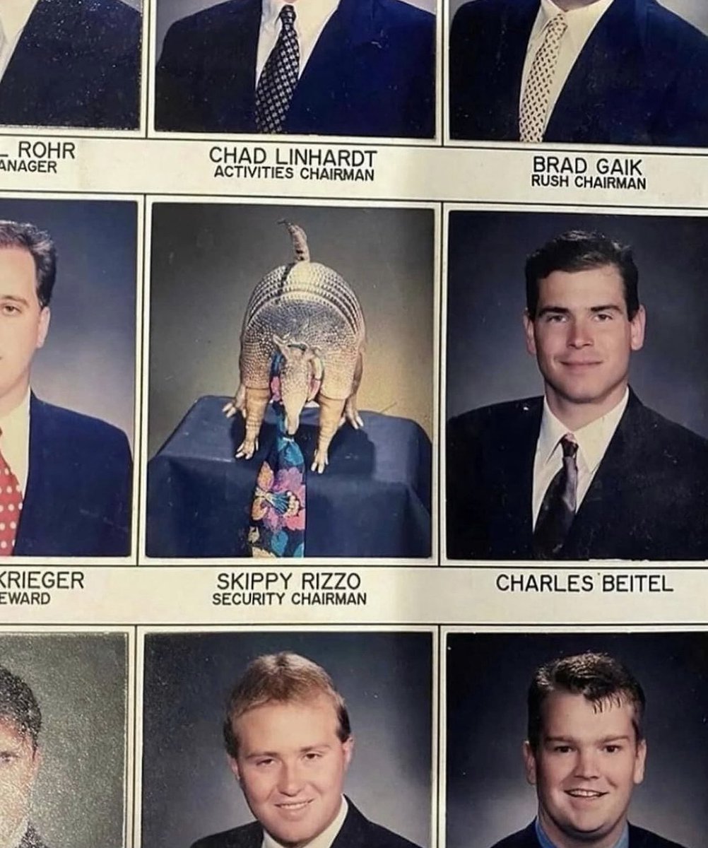 insaneposes's tweet image. 