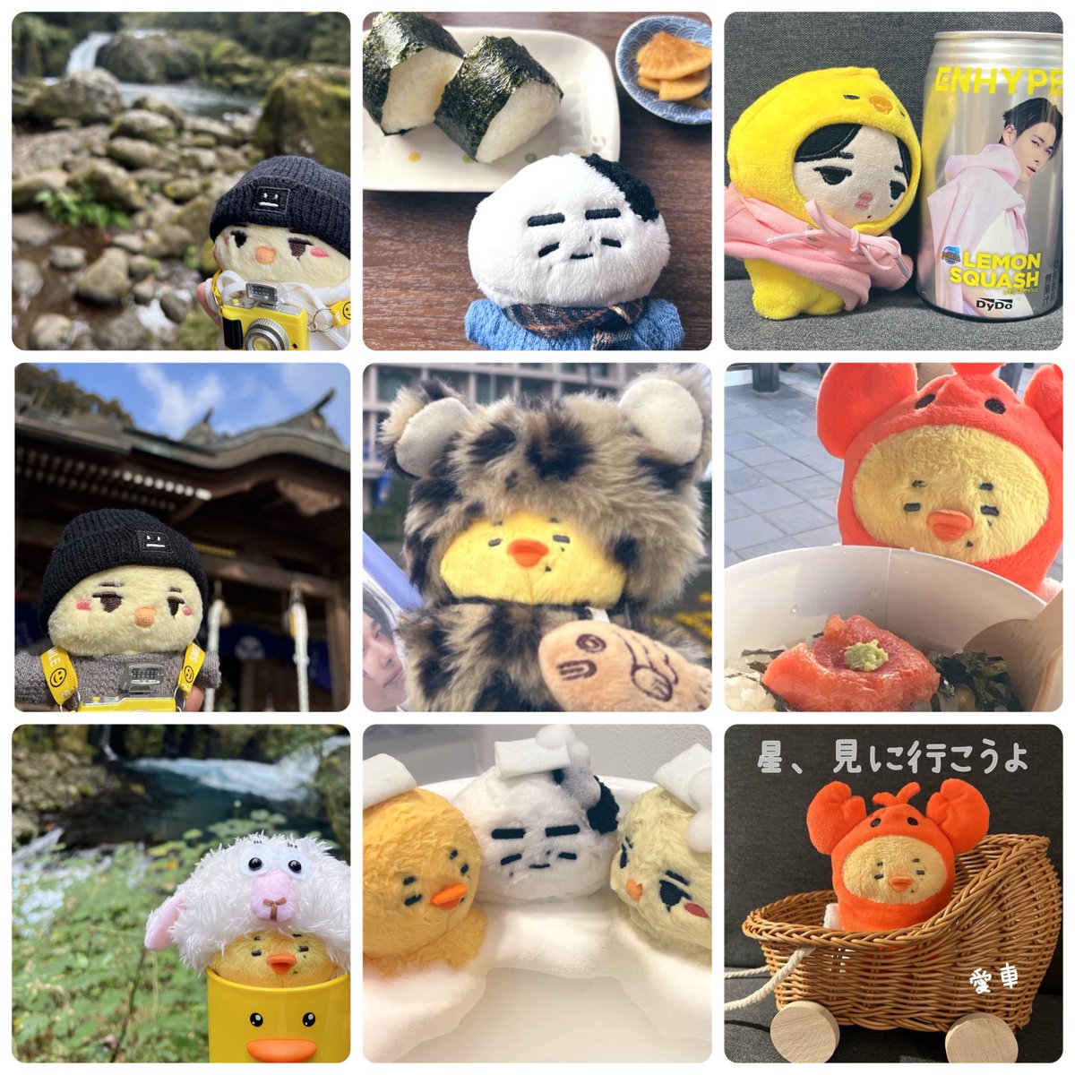 しらたま (@shiratama75n) / X