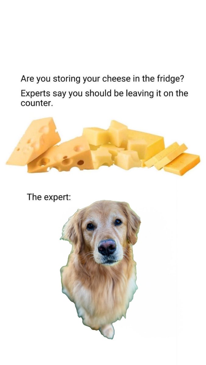 Brewski (@brewski_o) on Twitter photo 