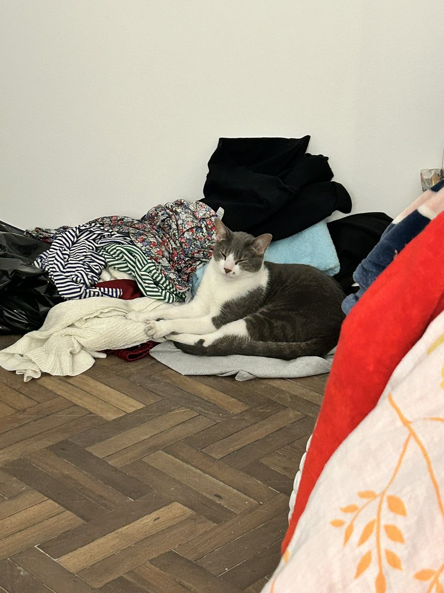 cammmmmmmmmi's tweet photo. Tengo un peluche entre la ropa tirada 🙈(no pude armar el ropero aun) 🤣🫶🏻 https://t.co/yOFVFmdBvU