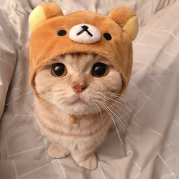 ShitpostIntern's tweet photo. Aped $sachi

The cat is cute

62ZiwfjUj8rihfYyBUTL4P1ftzCkvLqT7ivqtSBwpump https://t.co/eslnynYKdP