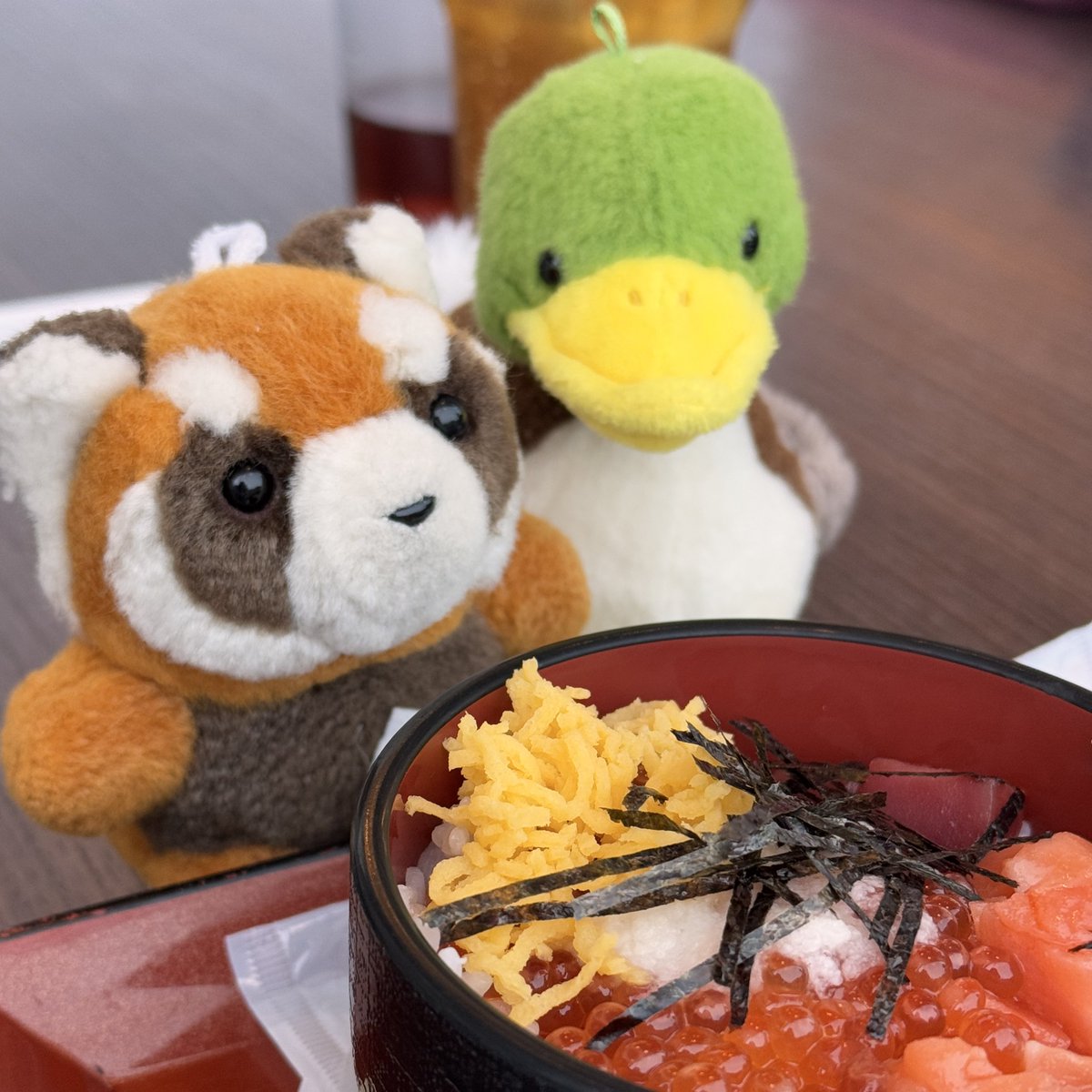gogo_hammer's tweet photo. ハンマも食べていいﾊﾝﾏか〜？( ╹ (ᴥ)╹) https://t.co/XGm0m0B48n