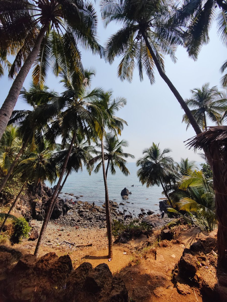 Ronit2001's tweet image. missing these views :(