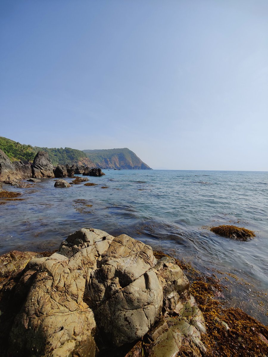 Ronit2001's tweet image. missing these views :(