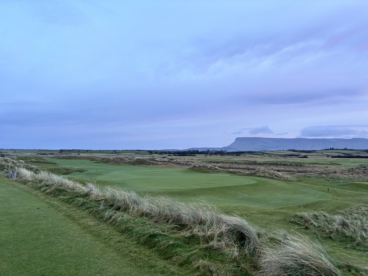 Stu Sheridan tweet media