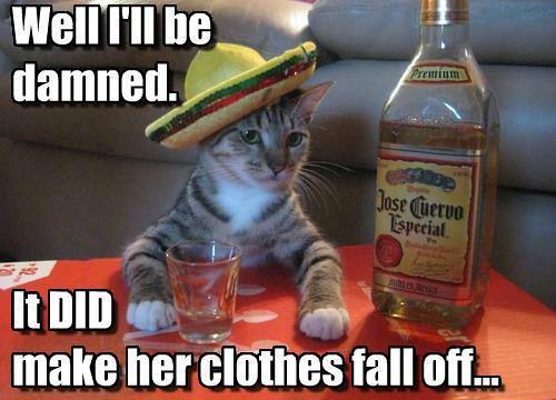 🇲🇽NECHO | OG Hispanic Cat tweet media