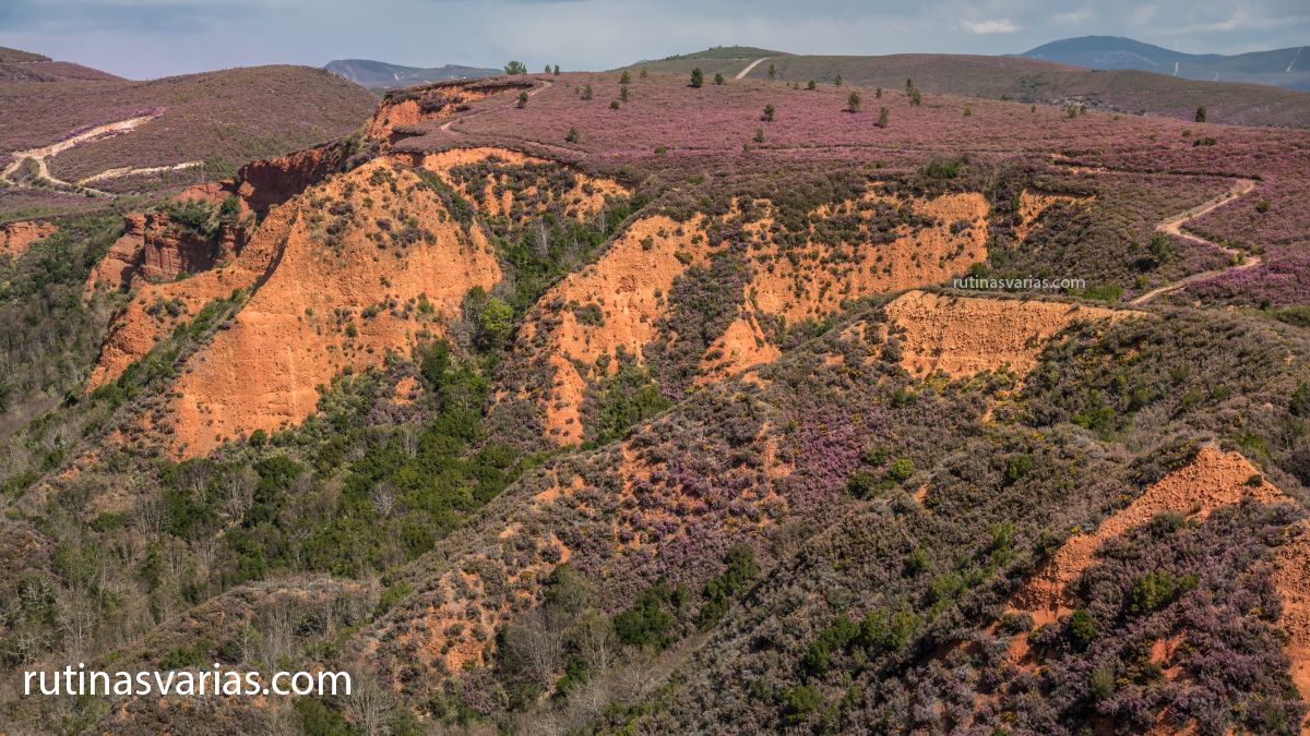 rutinasvarias.com tweet media