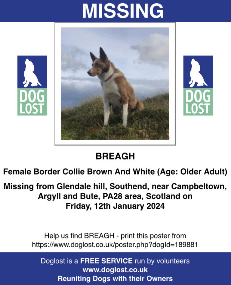BREAGH
A YEAR AGO THIS BEAUTIFUL OLDER LADY WENT MISSING FROM GLENDALE HILL, #SOUTHEND near #Campbeltown, Argyll and Bute #PA28 🏴󠁧󠁢󠁳󠁣󠁴󠁿 
12/1/24 
Female #BorderCollie brown &amp; white 
Spayed 
doglost.co.uk/dog-blog.php?d…
<a href="/Campbeltown/">Come to Campbeltown</a> <a href="/campbeltowncour/">Campbeltown Courier</a> <a href="/ArgyllNetwork/">Argyll Networking</a> <a href="/linda_kinnon/">SniperAlert</a> <a href="/JacquiSaid/">Dogs of Tooting 1</a>