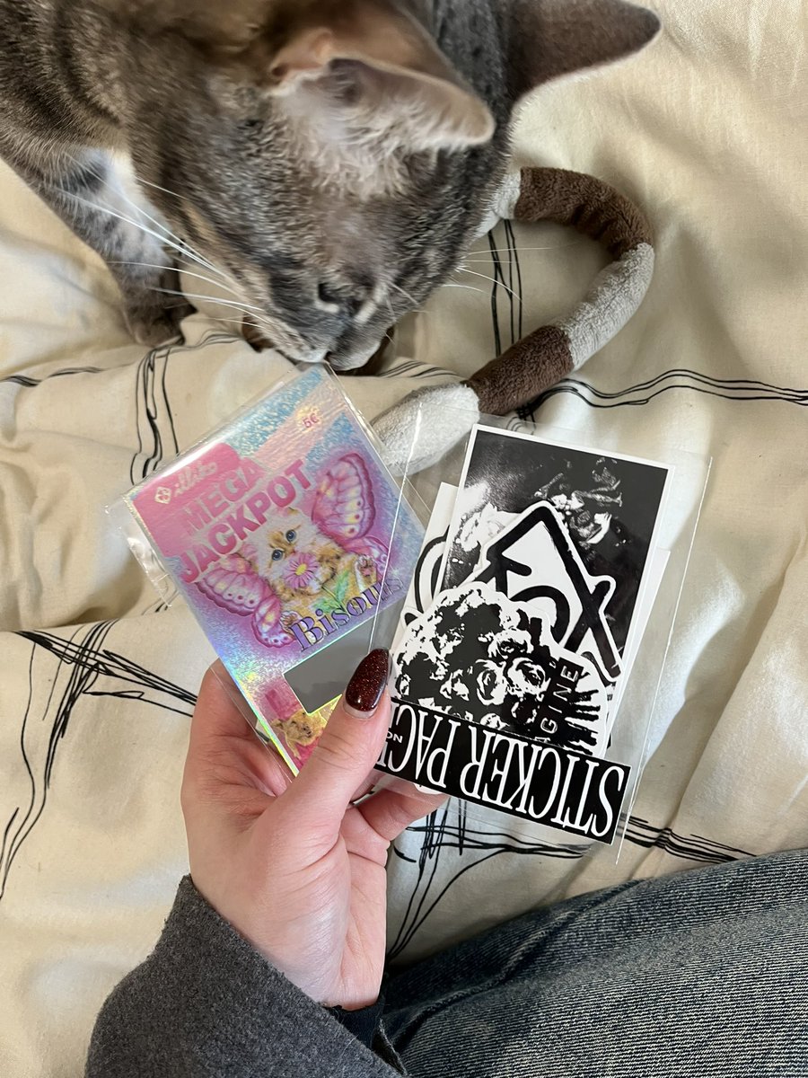 Mimi ⋆˚𝜗𝜚˚⋆ tweet media