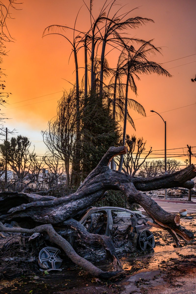 tunapala's tweet photo. Pacific Palisades fire 01/11/25 #LAFirestorm2025 https://t.co/ZvZVEIb29E