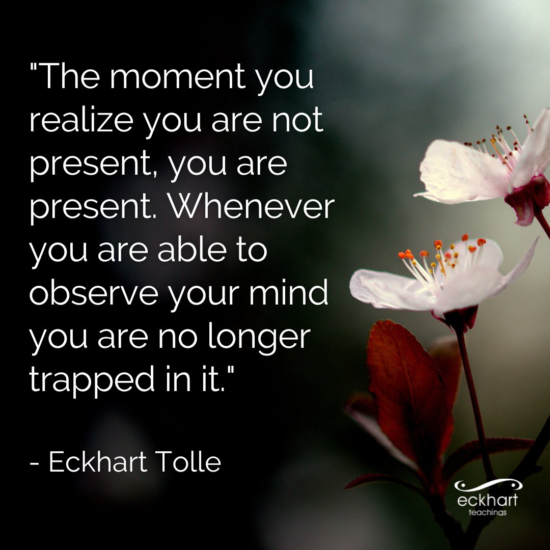 EckhartTolle's tweet photo. "The moment you realize you are not present, you are present. Whenever you are able to observe your mind you are no longer trapped in it." - Eckhart Tolle https://t.co/fgG04Km9Ox