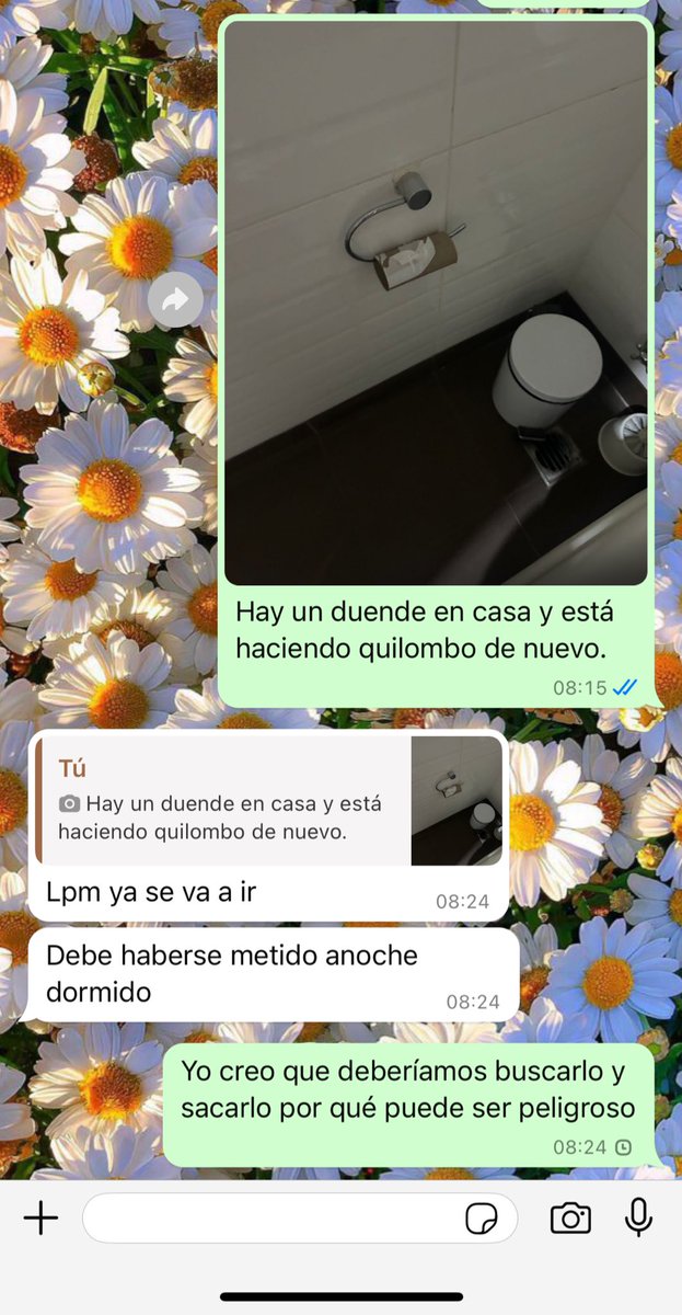 Cuando decidís no discutir, solo ponerle humor 🤷🏻‍♀️